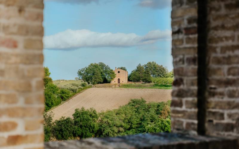 Foto Francesca/Montalto_Metroborgo delle Marche 2025 HI-412.jpg