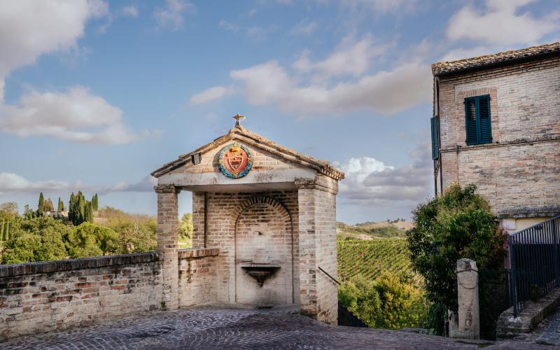 Foto Francesca/Montalto_Metroborgo delle Marche 2025 HI-428.jpg