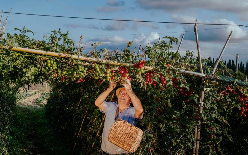 Foto Francesca/Montalto_Metroborgo delle Marche 2025 HI-433.jpg