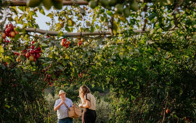 Foto Francesca/Montalto_Metroborgo delle Marche 2025 HI-444.jpg