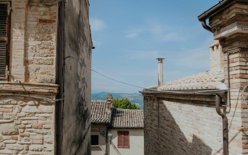 Foto Francesca/Montalto_Metroborgo delle Marche 2025 HI-72.jpg