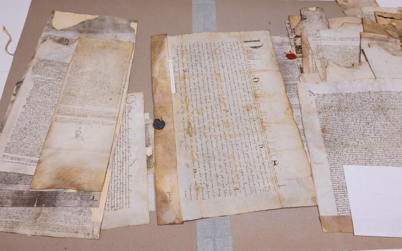 Foto Daniele/POI/Montalto 2 POI-13.jpg