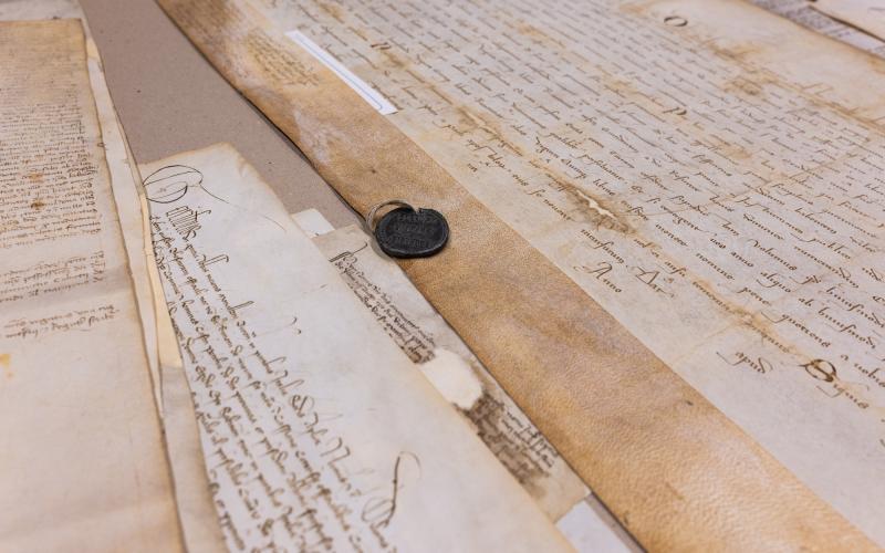 Foto Daniele/POI/Montalto 2 POI-14.jpg