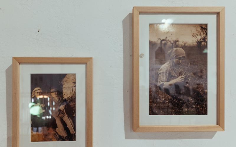 Foto Daniele/POI/Montalto-POI-116.jpg