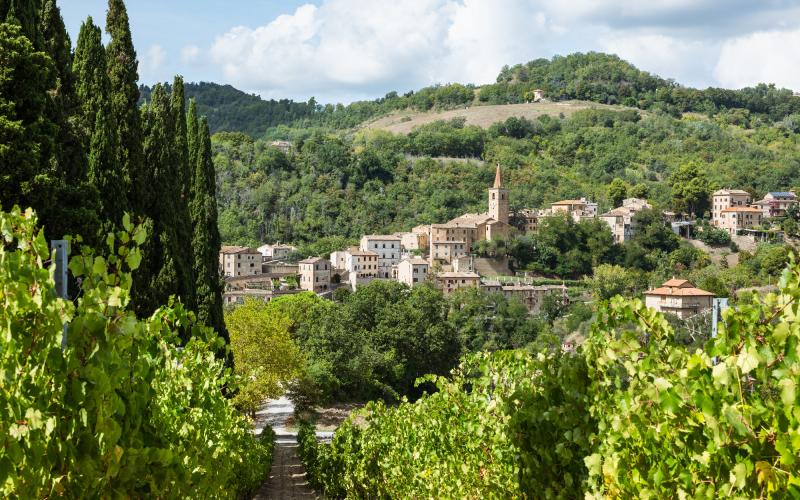 Foto Daniele/POI/Montalto-POI-169.jpg