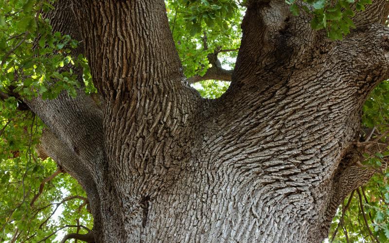 Foto Daniele/POI/Montalto-POI-173.jpg