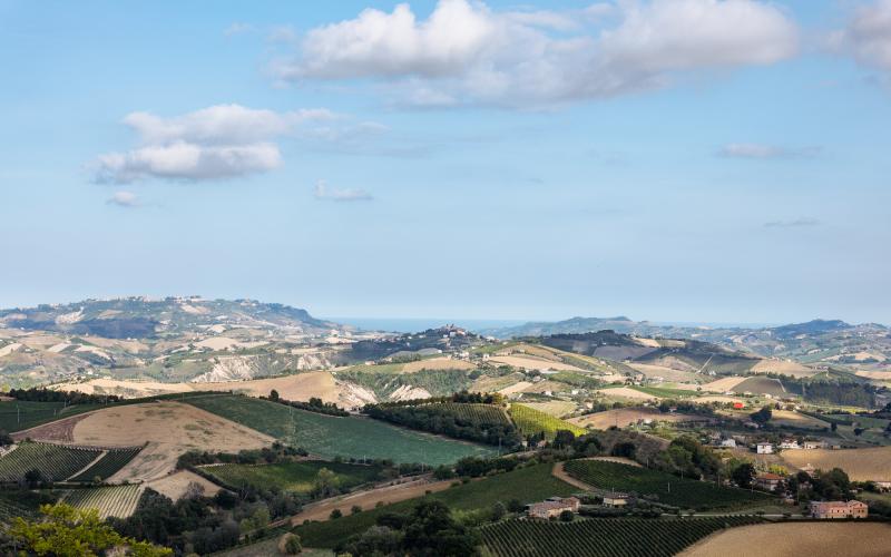 Foto Daniele/POI/Montalto-POI-204.jpg