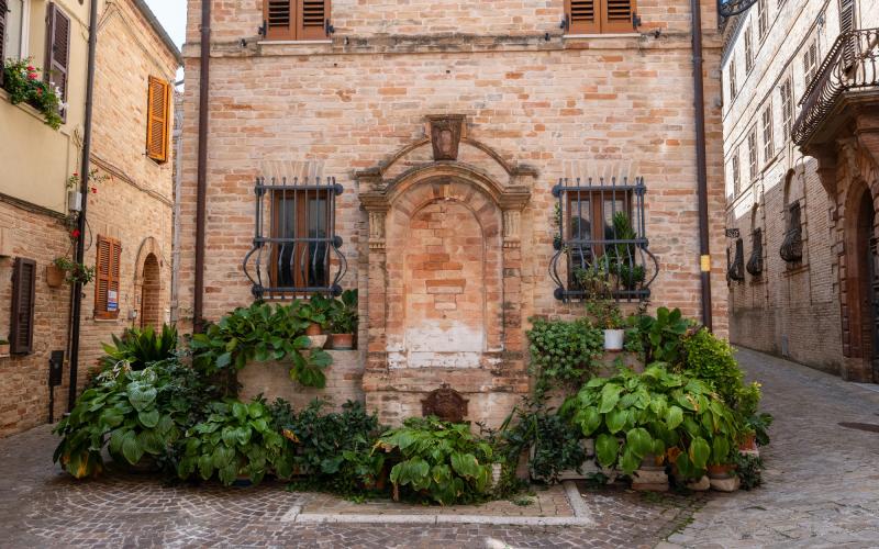 Foto Daniele/POI/Montalto-POI-56.jpg