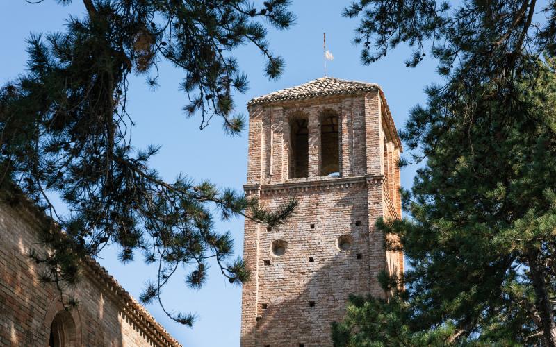 Foto Daniele/POI/Montalto-POI-88.jpg