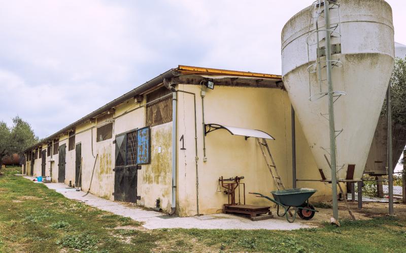 Foto Daniele/OPERATORI/Montalto 2 POI-8.jpg