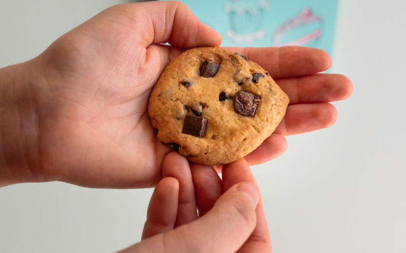 Foto Daniele/OPERATORI/Montalto-operatori-13.jpg