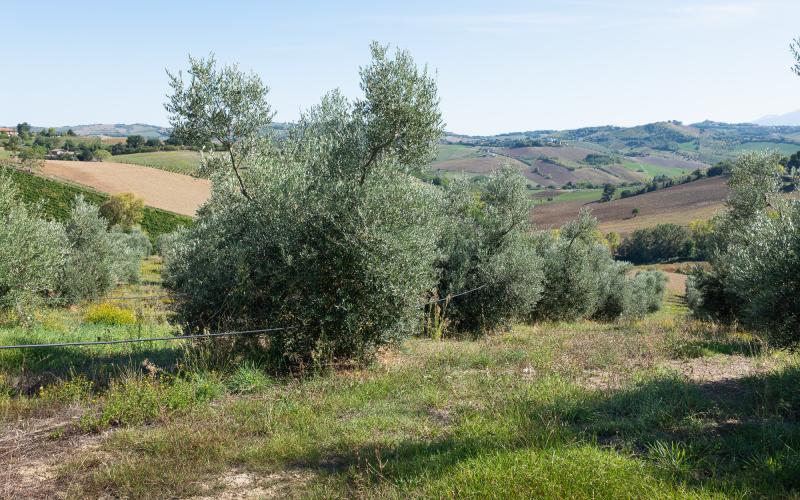 Foto Daniele/OPERATORI/Montalto-operatori-65 (1).jpg