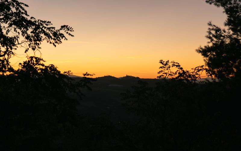 Foto Daniele/EXTRA/Montalto-Extra-5.jpg