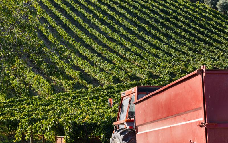 Foto Daniele/EXTRA/Montalto-Extra-7.jpg