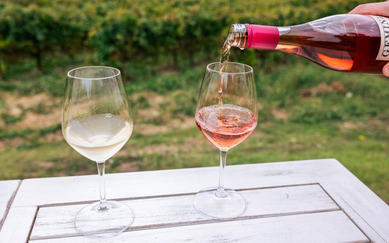 Foto Daniele/OLIO e VINO/Montalto 2 POI-2.jpg