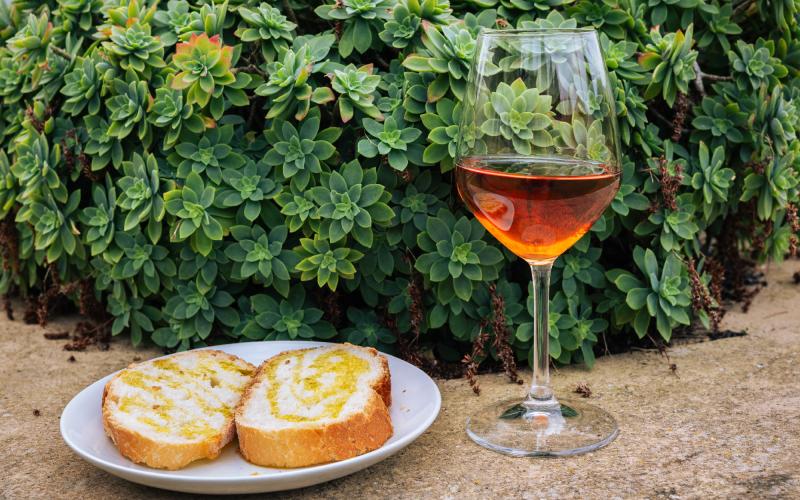 Foto Daniele/OLIO e VINO/Montalto 2 POI-19.jpg