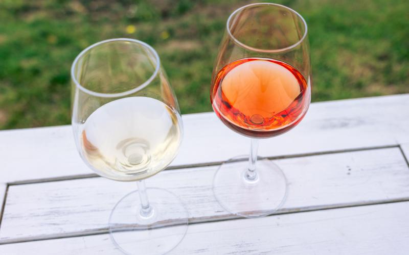 Foto Daniele/OLIO e VINO/Montalto 2 POI-4.jpg