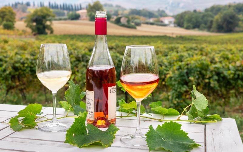 Foto Daniele/OLIO e VINO/Montalto 2 POI-7.jpg